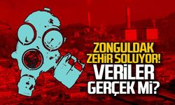 Zonguldak zehir soluyor! Veriler gerçek mi?