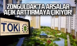Zonguldak'ta arsalar satışa çıkacak