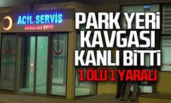 Park yeri kavgası kanlı bitti!