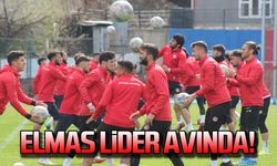 Elmas lider avında!