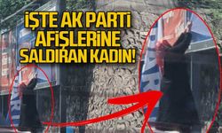 İşte Ak Parti afişlerine saldıran kadın!
