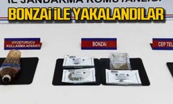 Bonzai ile yakalandılar