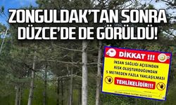 Zonguldak'tan sonra Düzce'de de görüldü!