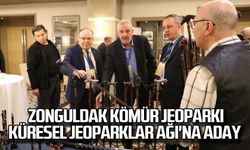 Zonguldak Kömür Jeoparkı, Küresel Jeoparklar Ağı'na aday!