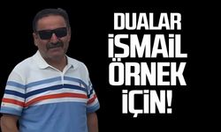 Dualar İsmail Örnek için