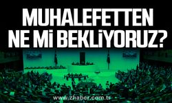 Muhalefetten ne mi bekliyoruz?
