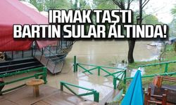 Nehir taştı...Bartın sular altında!