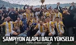 ŞAMPİYON ALAPLI BAL’A YÜKSELDİ…