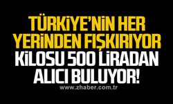 Türkiye’nin her yerinden fışkırıyor Kilosu 500 liradan alıcı buluyor!