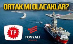 TPAO-TOSYALI ortak mı olacak?