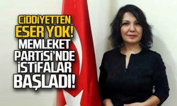 Memleket Partisinde istifalar başladı!