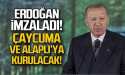 Erdoğan imzaladı! Çaycuma ve Alaplı'ya kurulacak