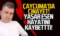 Çaycuma'da cinayet... Yaşar Esen öldürüldü!