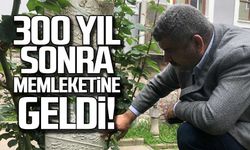 300 yıl sonra memleketine geldi!