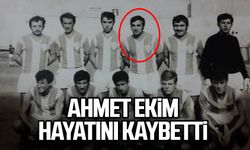 Ahmet Ekim hayatını kaybetti
