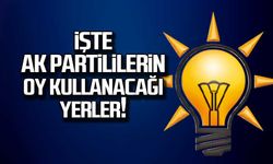 İşte AK Partililerin oy kullanacağı yerler