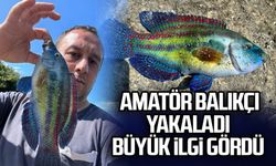  Amatör balıkçı yakaladı, büyük ilgi gördü