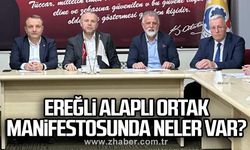 Ereğli Alaplı ortak  manifestosunda neler var?