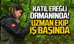 Katil Ereğli-Alaplı ormanında! Uzman ekip iş başında!