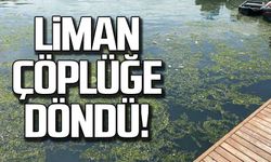 Zonguldak limanı çöplüğe döndü!