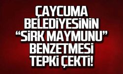 Çaycuma Belediyesinin "Sirk maymunu" benzetmesi tepki çekti!