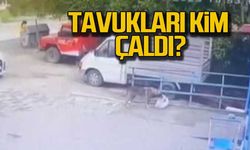 Tavukları kim çaldı?