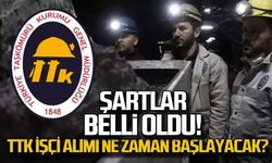 Hakan Yeşil açıkladı... "TTK'ya işçi alımı ne zaman, şartlar neler?"