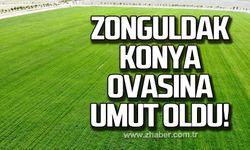 Zonguldak Konya ovasına umut oldu!