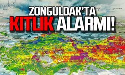 Zonguldak'ta kıtlık alarmı!
