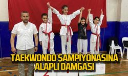Taekwondo şampiyonasına Alaplı damgası