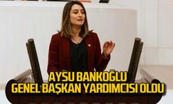 Aysu Bankoğlu Genel Başkan Yardımcısı oldu