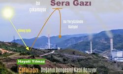 Çatalağzı doğanın dengesini nasıl bozuyor?