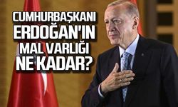 Cumhurbaşkanı Erdoğan'ın mal varlığı ne kadar?