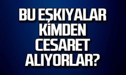 Bu eşkıyalar kimden cesaret alıyor?