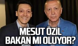 Mesut Özil Bakan mı oluyor?