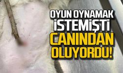 Oyun oynamak istemişti... Canından oluyordu