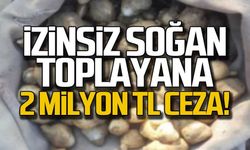 İzinsiz soğan toplayana 2 milyon 647 bin TL ceza!
