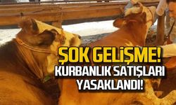 Şok gelişme! Kurbanlık satışları yasaklandı!