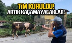 Tim kuruldu, artık kaçamayacaklar!
