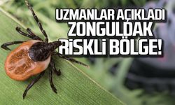 Uzmanlar açıkladı... Zonguldak riskli bölge!