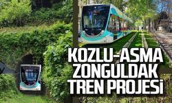 Kozlu- Asma- Zonguldak Tren projesi!