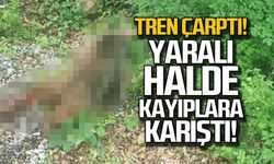 Tren çarptı! Yaralı halde kayıplara karıştı!
