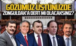 "Zonguldak'a dert mi olacaksınız?"