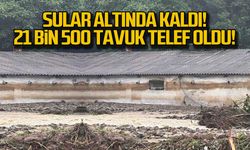 Sular altında kaldı... 21 bin 500 tavuk telef oldu!