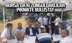 Bursa'da ki Zonguldaklılar piknikte buluştu!