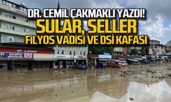 Dr. Cemil Çakmaklı yazdı "Sular Seller, Filyos Vadisi ve DSİ kafası"
