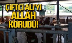 Çiftçi Ali’yi Allah korudu!