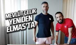 Mevlüt Çelik yeniden Elmas'ta