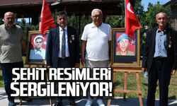 Şehit resimleri sergileniyor!