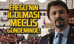 Ereğli'nin il olması TBMM gündeminde!